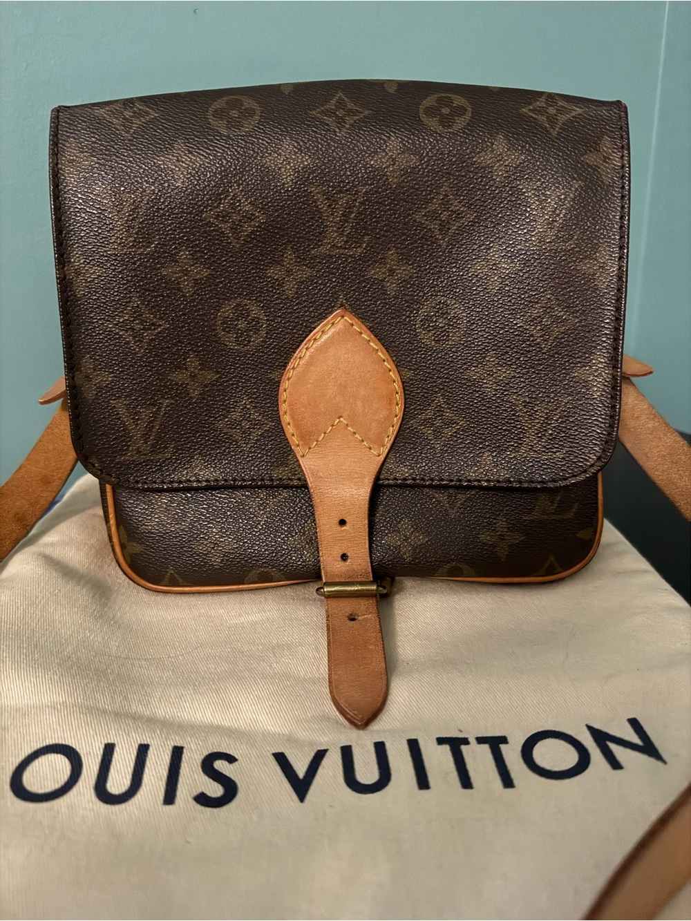 Louis Vuitton Cartouchiere Monogram Canvas Crossbody
